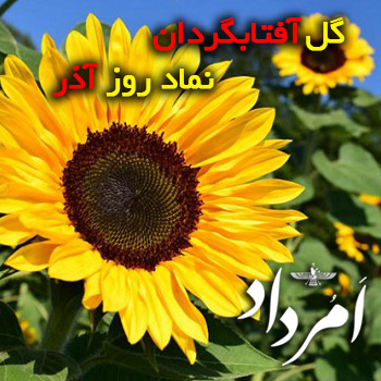 آذر ایزد نهمین روز از ماه زرتشتی